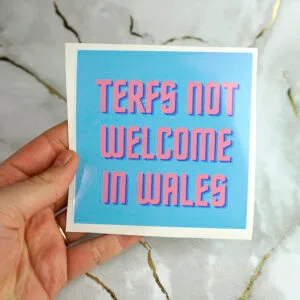 Vinyl sticker stickers slap slaps square y2k laptop sticker laptop decal decals waterproof large lgbt business queer meme 2000s trans transgender lgbt pride queers memes