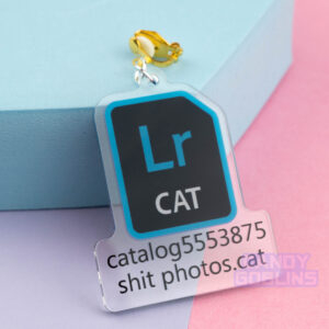 Lightroom Earrings - Photographer Photography Adobe Gift Rude Fuck Swearing Photo Editing Art Relatable Acrylic Quirky Adobe Icon Camera CAT