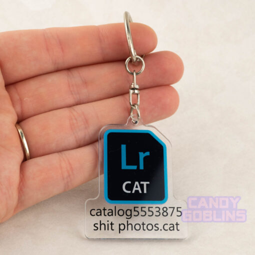 Lightroom Keychain - Photographer Photography Gift Rude Fuck Swearing Photo Editing Art Relatable Acrylic Quirky Adobe Icon Camera CAT catalog5553875 shit photos.cat
