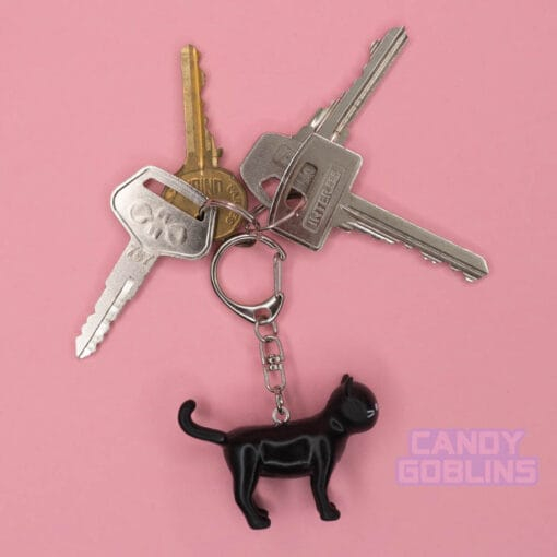 A black cat keychain hangs from a set of keys