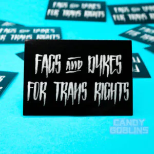 A sticker reads "Fags and Dykes for Trans Rights". In the background, there are several copies of the sticker scattered around.